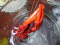 2007-Louisiana-Mission-Trip EBC (441).JPG